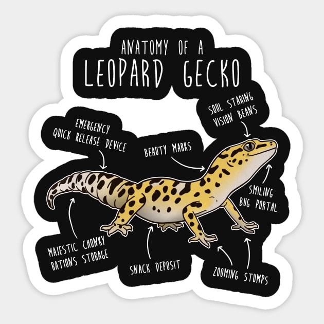Anatomy of a Leopard Gecko Sticker by Psitta